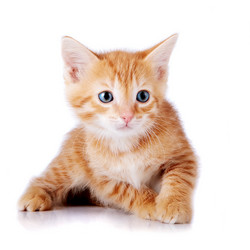 Similar image 2887302