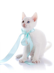 Similar image 2887303