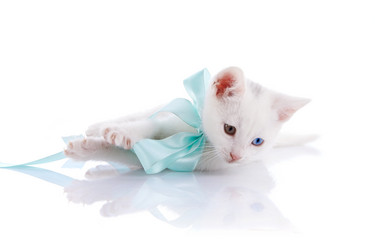 Similar image 2887311