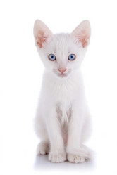 Similar image 2887317