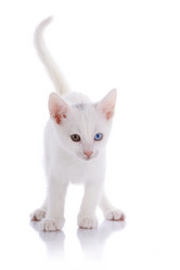 Similar image 2887320