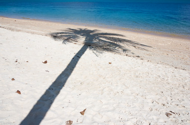 Similar image 2887415