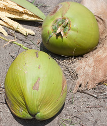 Similar image 2887418