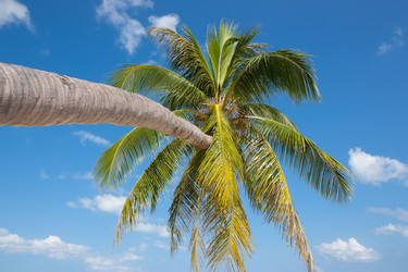 Similar image 2887419