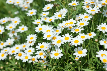 Similar image 2887420