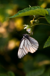 Similar image 2887459