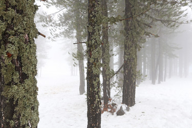 Similar image 2887516