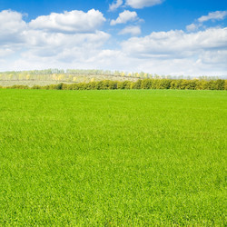 Similar image 2887811