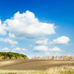 Similar image 2887812