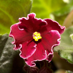 Similar image 2887825