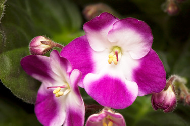 Similar image 2887834