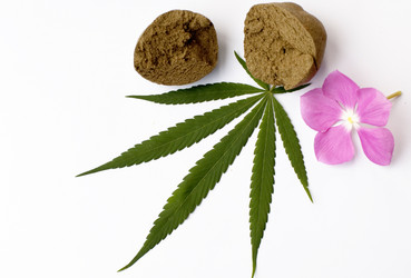 Similar image 2887965