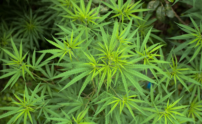 Similar image 2888001