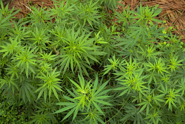 Similar image 2888006