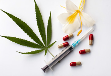 Similar image 2888008