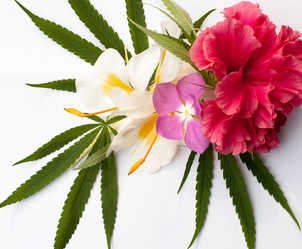 Similar image 2888012