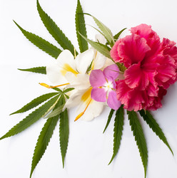 Similar image 2888013