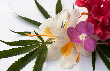 Similar image 2888014