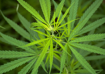 Similar image 2888017