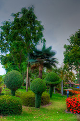 Similar image 2888019