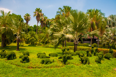 Similar image 2888020