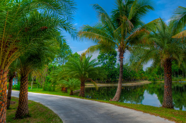 Similar image 2888026