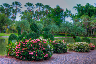 Similar image 2888037