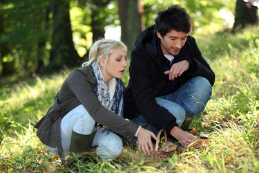 Similar image 2888515