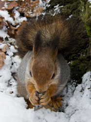 Similar image 2888586