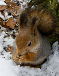 Similar image 2888588