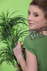 Similar image 2888646