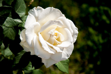 Similar image 2888756