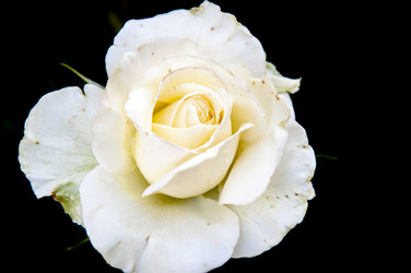 Similar image 2888760