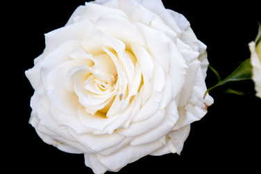 Similar image 2888761