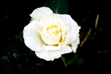 Similar image 2888762