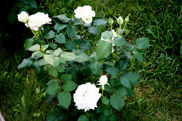 Similar image 2888763