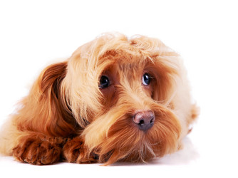 Similar image 2888769