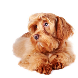 Similar image 2888770