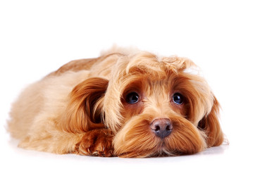 Similar image 2888771