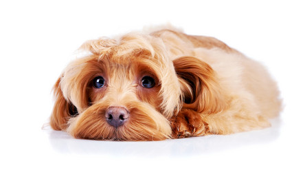 Similar image 2888772