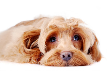 Similar image 2888773