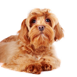 Similar image 2888774