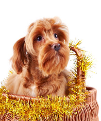 Similar image 2888775