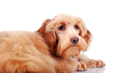 Similar image 2888785