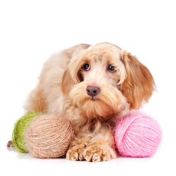 Similar image 2888787