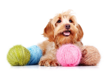 Similar image 2888789