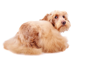 Similar image 2888797