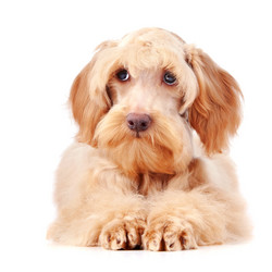 Similar image 2888798