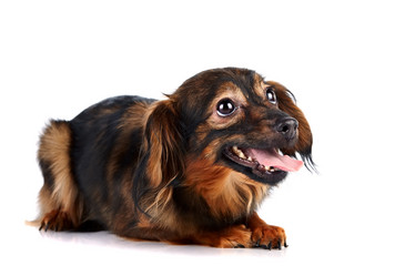 Similar image 2888812