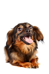 Similar image 2888814